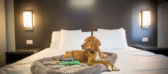 Envi Boutique Hotel Henderson-Evansville South