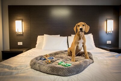Envi Boutique Hotel