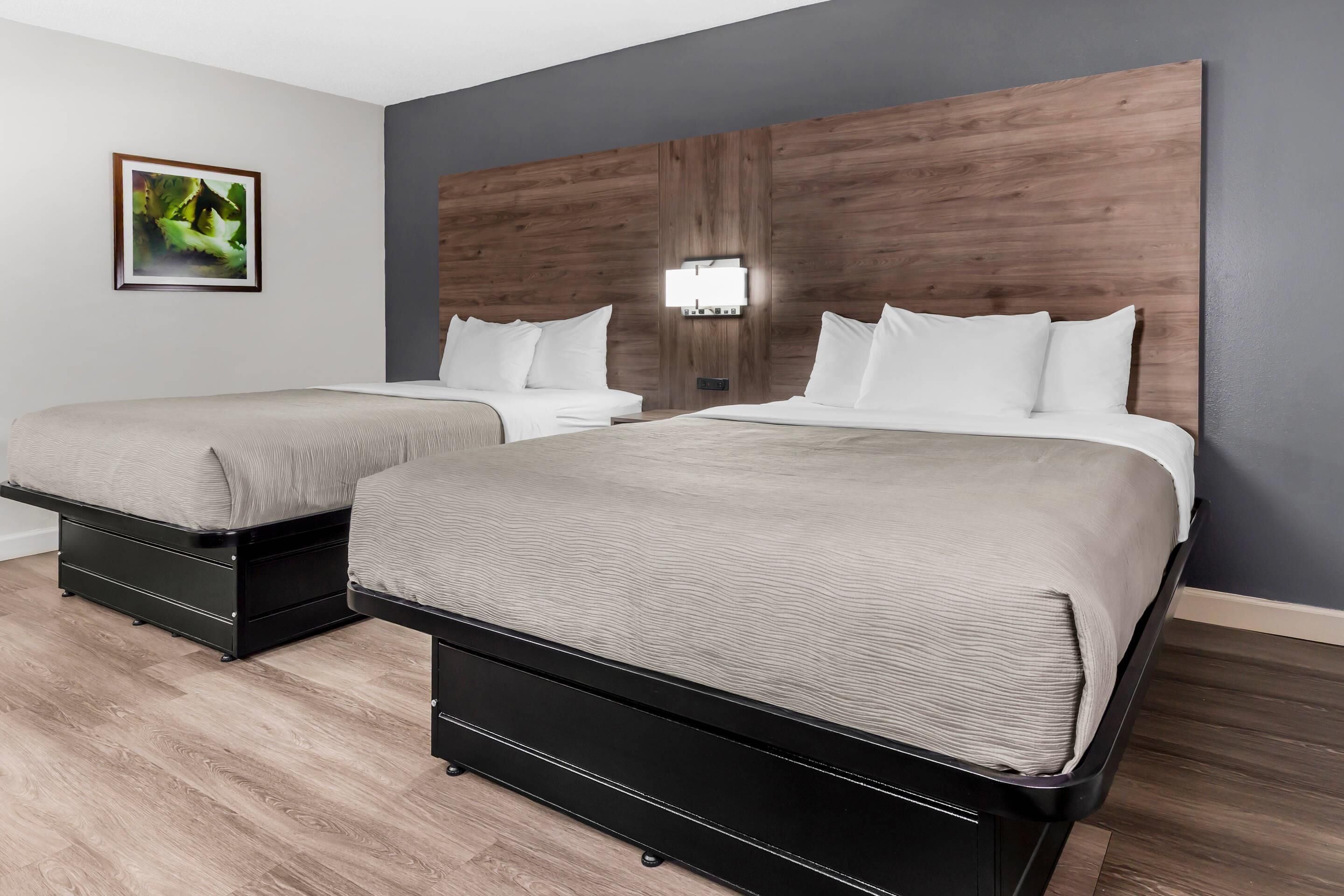 room, 2 queen beds, non smoking | premium bedding, desk, iron/ironing board, free cots/infant beds