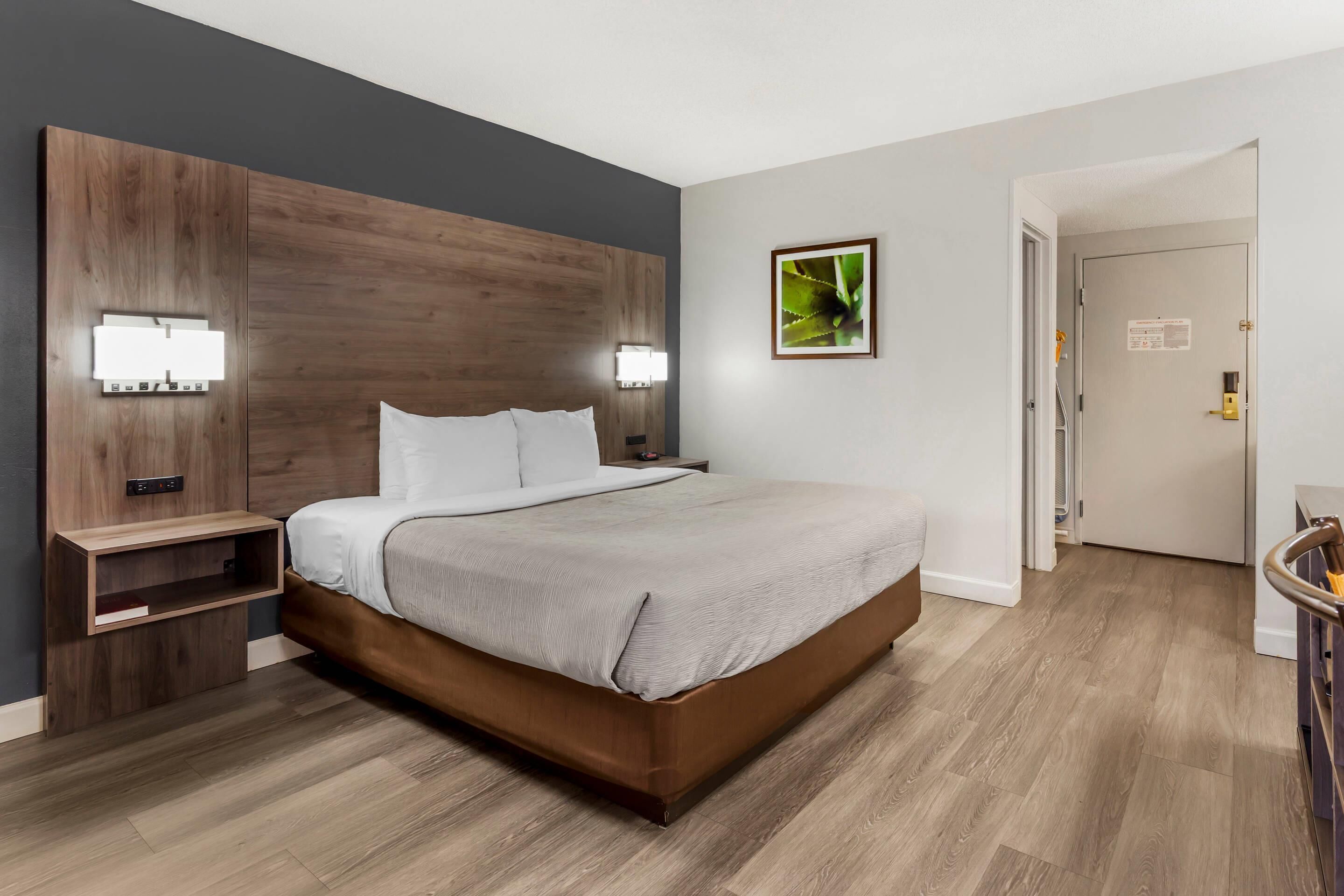 Ein modernes Hotelzimmer mit einem Holzkopfende, einem großen Bett mit weißer Bettwäsche, Nachttischlampen und einer Zimmerpflanze an der Wand.