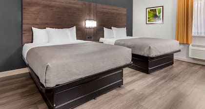 Quality Inn & Suites Raleigh Durham Airport