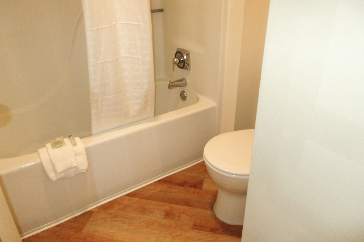 Combined shower/bathtub, free toiletries, hair dryer, towels