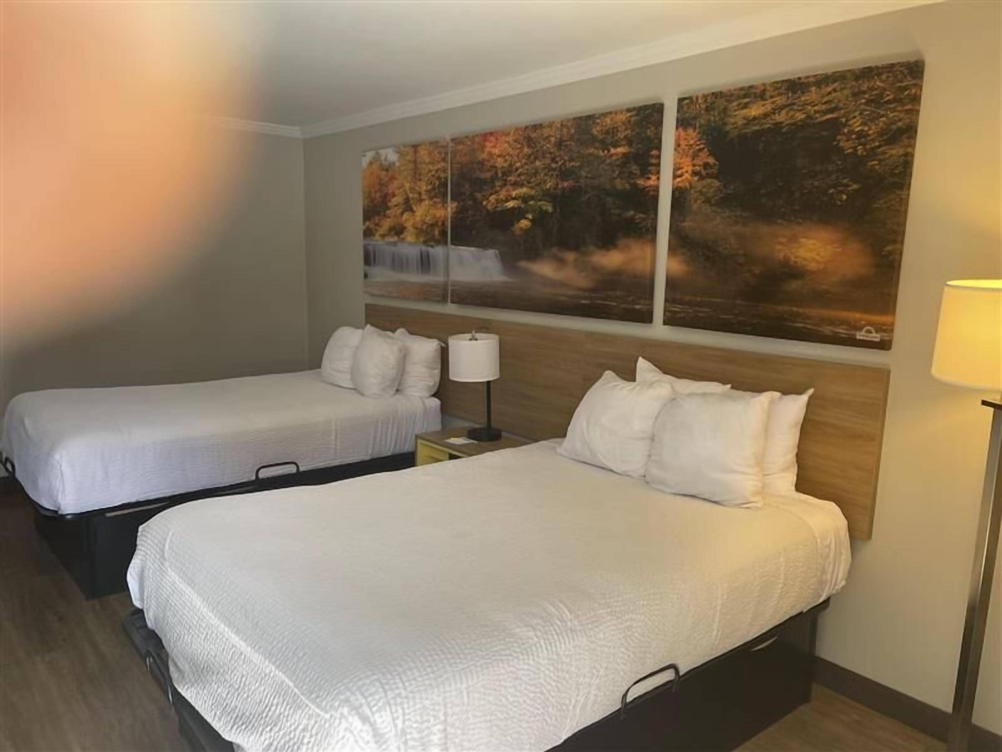 Habitación de hotel con dos camas individuales, una mesita de noche con lámpara y un cuadro grande con paisaje de bosque.