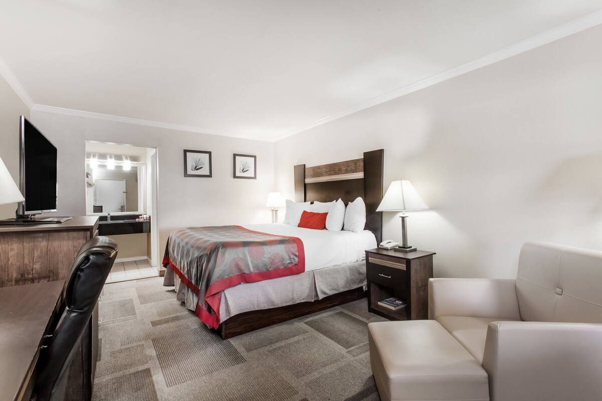 A hotel room with a bed, bedside table, lamp, chair, desk, and a mirror.