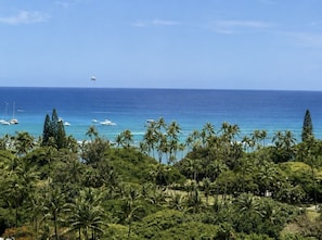 Un paisaje costero con vista despejada del océano, palmeras y barcos.