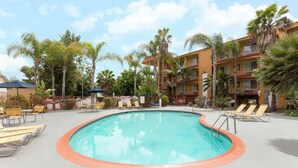 Una piscina rodeada de sillas de descanso y palmeras, con un edificio al fondo.