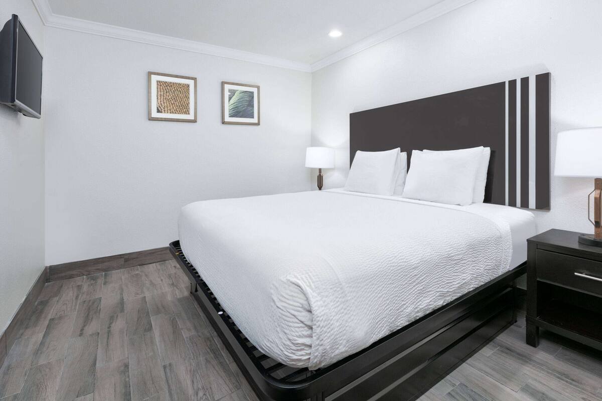 Una habitación de hotel moderna con una cama grande, un cabecero oscuro, una mesita de noche con una lámpara y dos cuadros enmarcados en la pared.