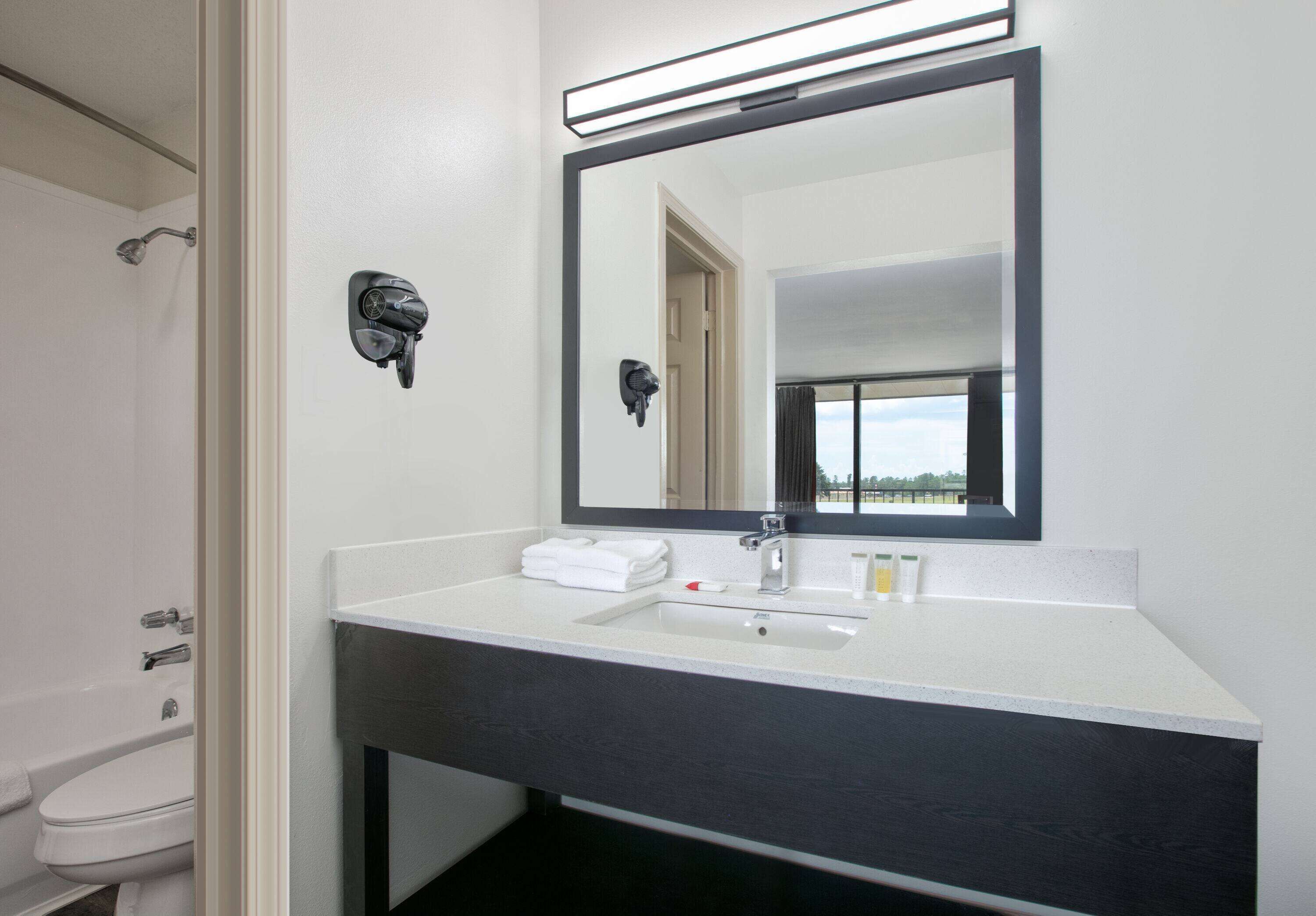 Een badkamer met een wit wastafel, donker aanrechtblad en een grote spiegel.