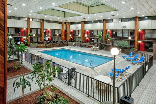 Indoor pool, open 9:00 AM to 8:00 PM, sun loungers