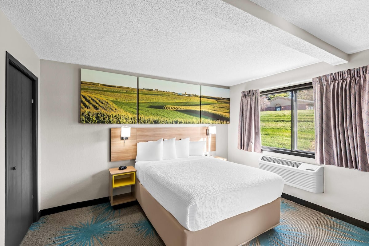 Suite, 1 grand lit