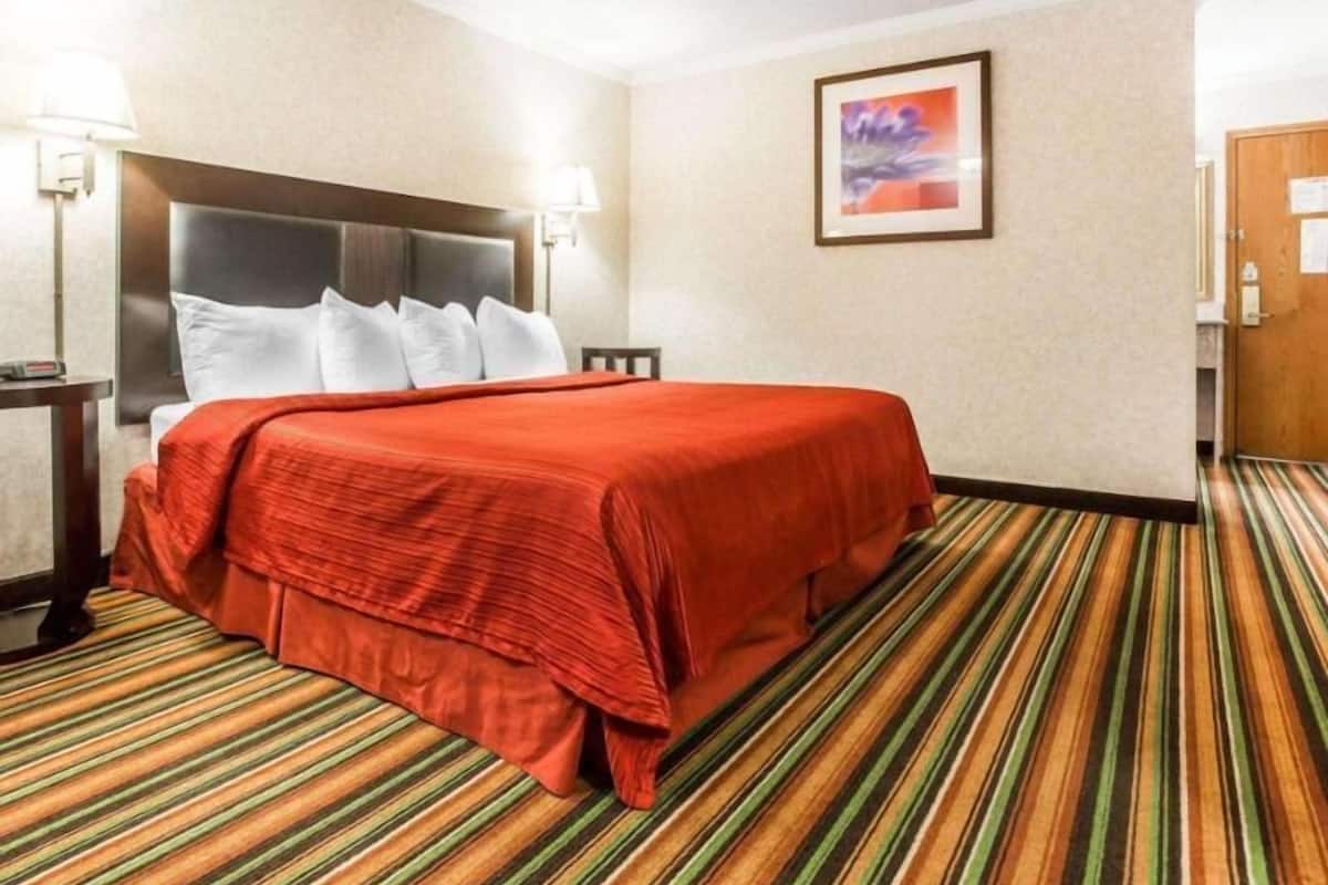 Une chambre d’hôtel avec un lit, une tête de lit, un tableau accroché au mur et une moquette à rayures.