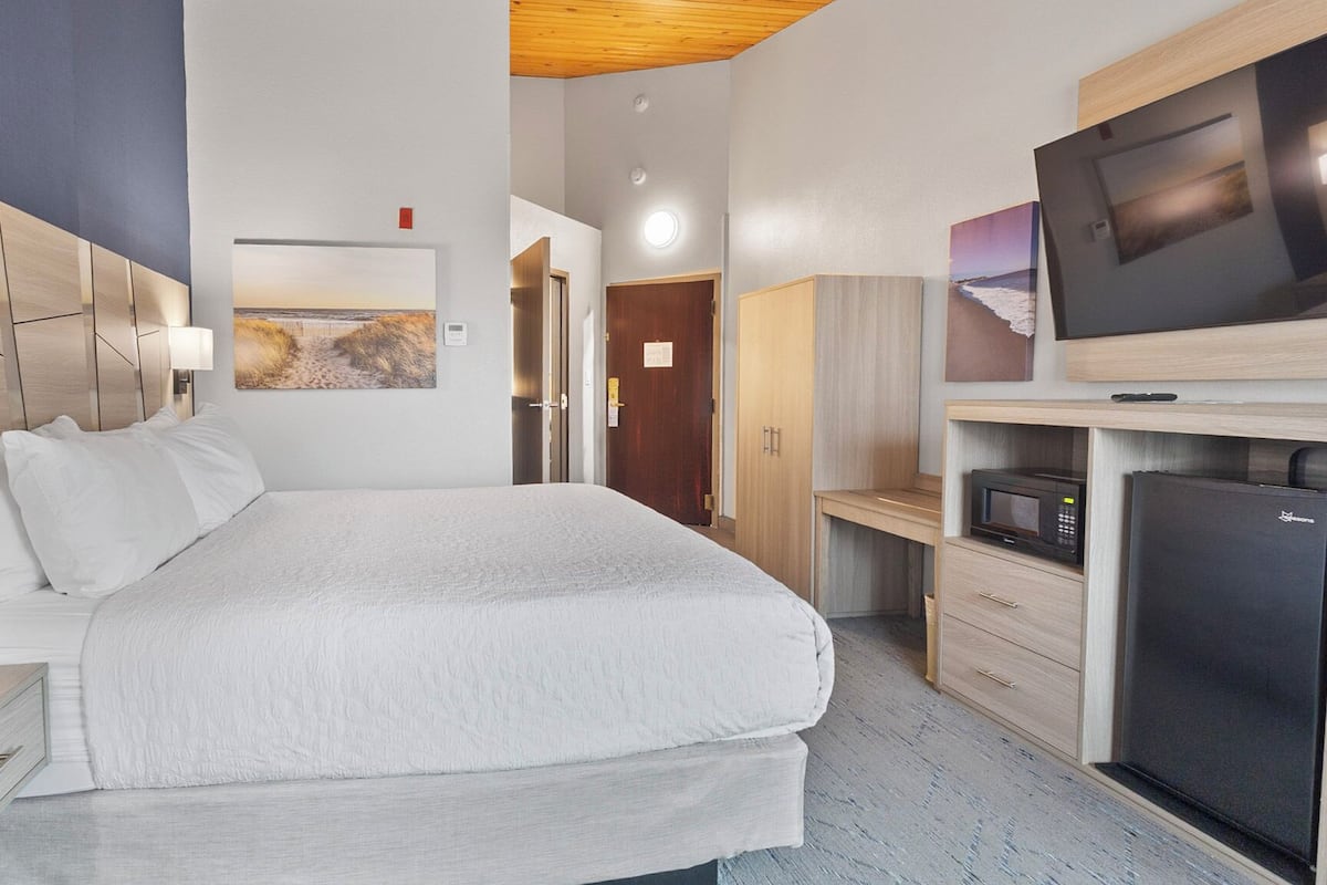 Habitación estándar, 1 cama King size, para no fumadores, refrigerador y microondas | Muebles diferentes, escritorio, tabla de planchar con plancha y wifi