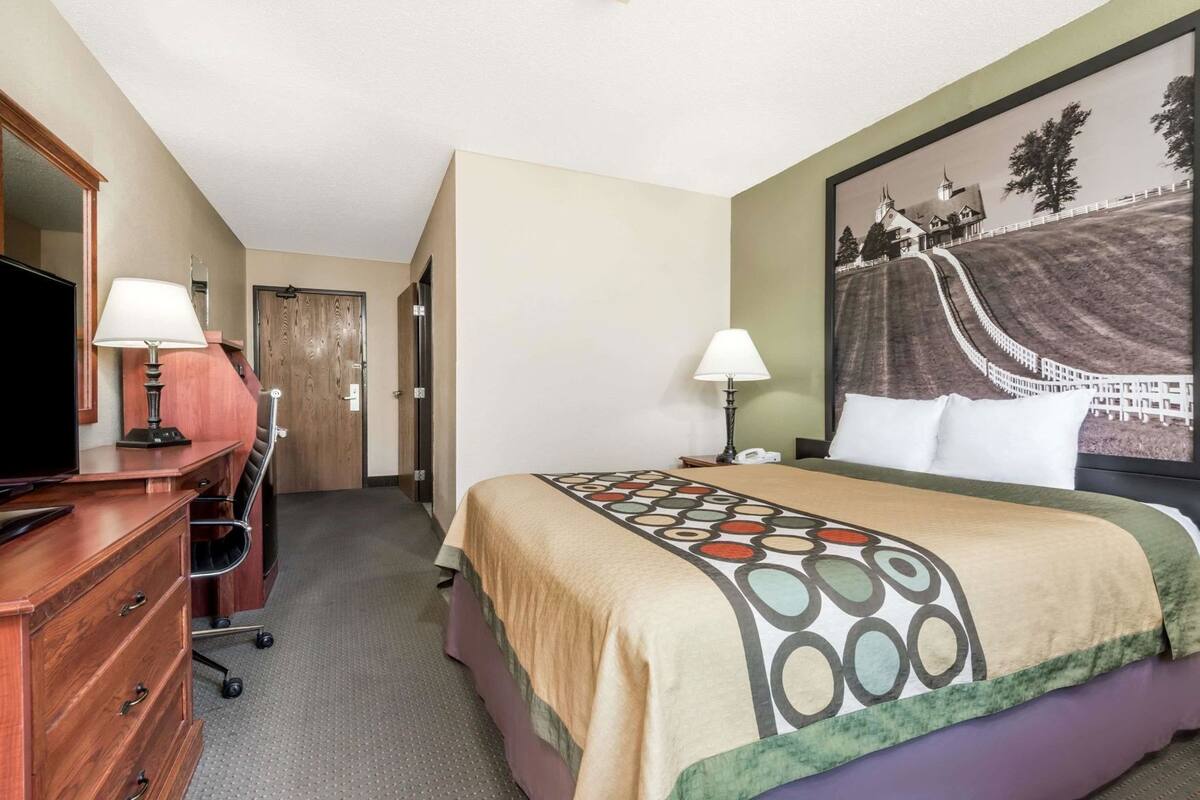 Habitación de hotel con cama, escritorio, silla, televisor, lámparas y un cuadro en la pared.