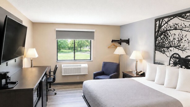 Ein Hotelzimmer mit Bett, Schreibtisch, Stuhl, Fernseher und Kunstwerken.