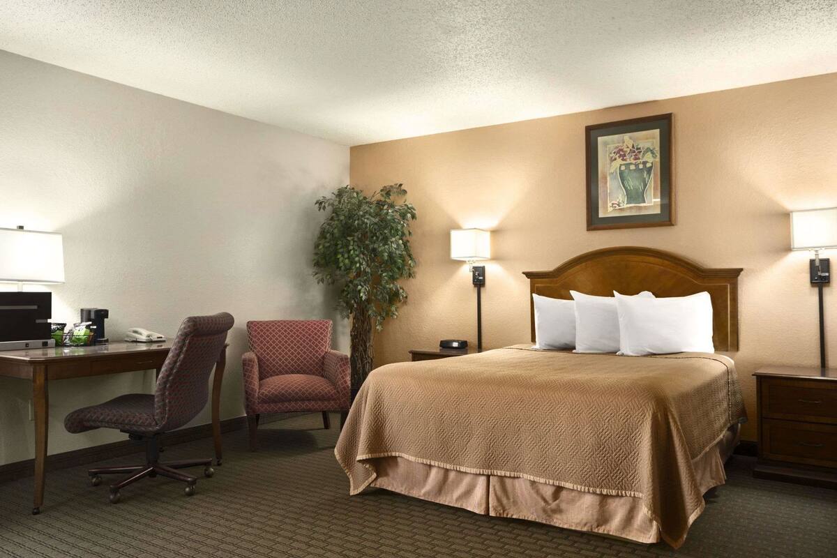 A hotel room with a bed, desk, chair, lamp, and a potted plant.