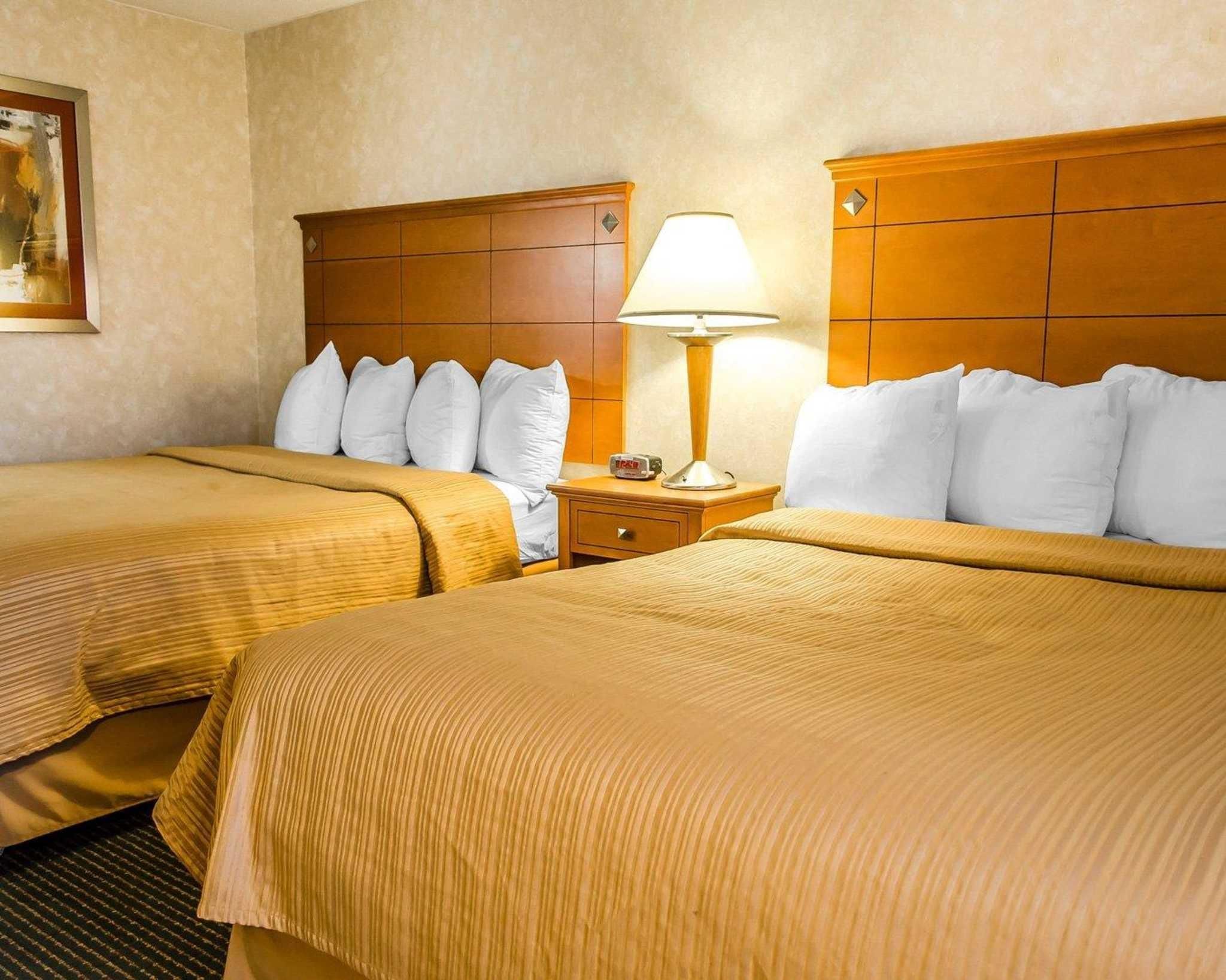A hotel room with two beds, a nightstand with a lamp, and a painting on the wall.
