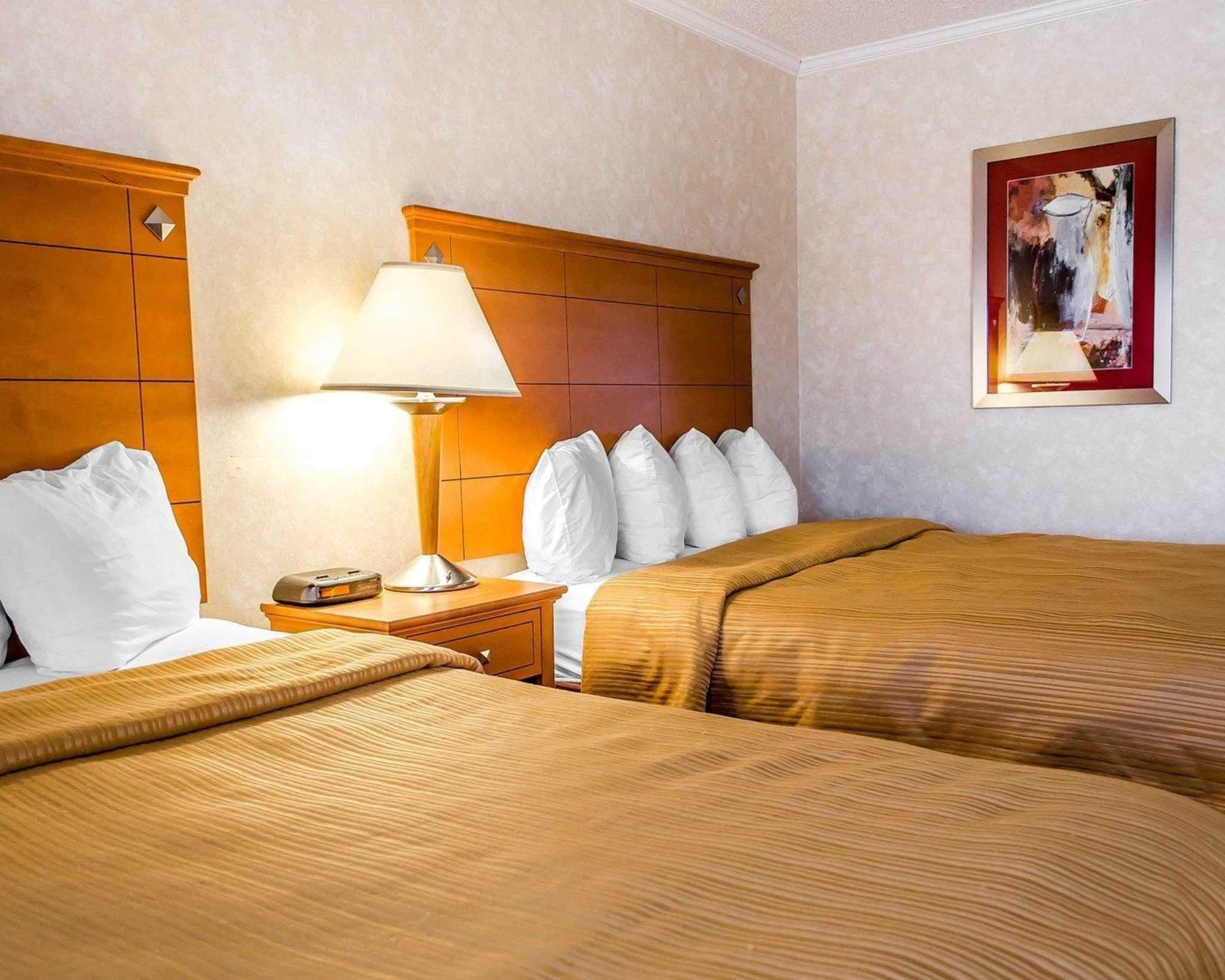 Een hotelkamer met twee bedden, een houten hoofdeinde, een nachtkastje met een lamp en een ingelijst kunstwerk aan de muur.