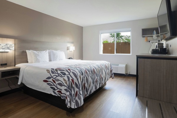 Iron/ironing board, cribs (free), rollaway beds (surcharge), WiFi (free)
