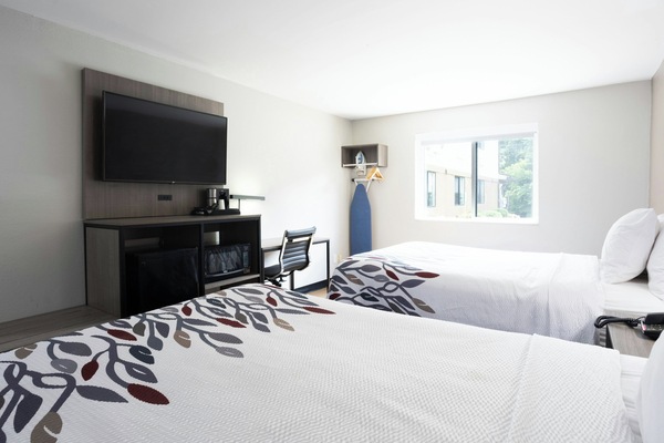 Iron/ironing board, cribs (free), rollaway beds (surcharge), WiFi (free)