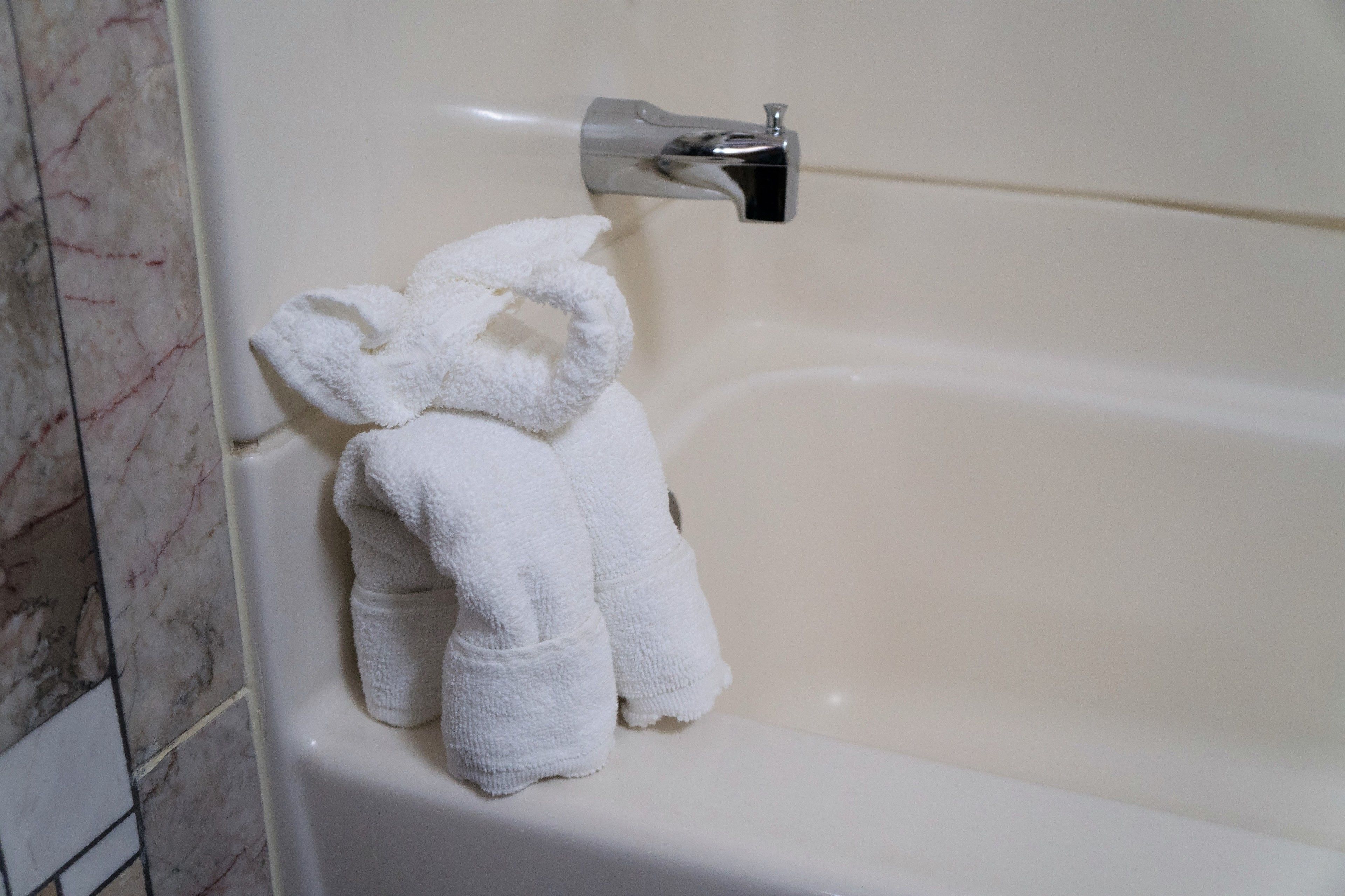 combined shower/bathtub, hair dryer, towels, soap