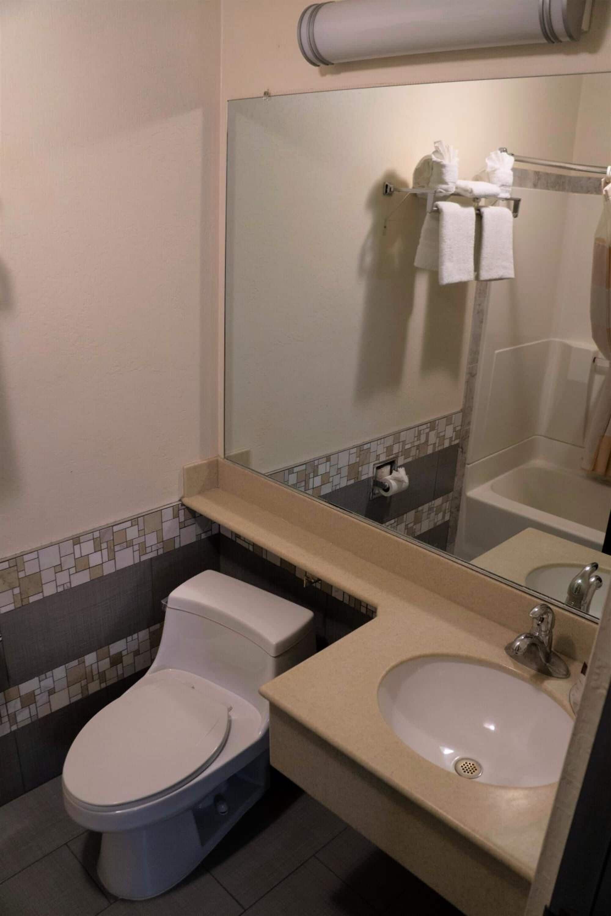A bathroom with a toilet, sink, and mirror.