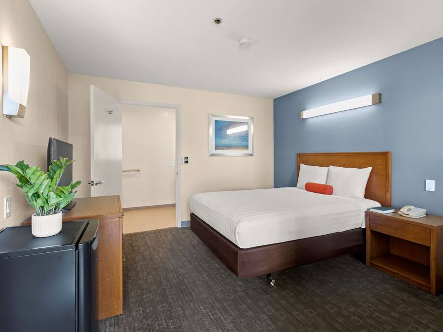 Une chambre d’hôtel comprenant un lit, une table de chevet, un bureau avec une plante, une porte et un luminaire fixé au mur.