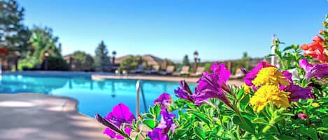 Una piscina techada, 2 piscinas al aire libre, sombrillas