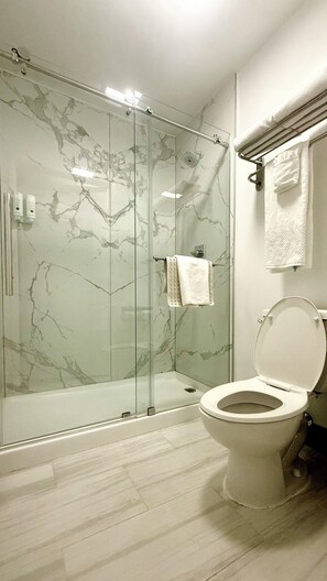 Combined shower/bathtub, free toiletries, hair dryer, towels