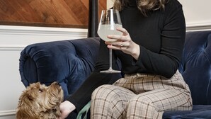 En person sidder på en blå sofa med en hund ved siden af, mens de holder et glas vin og en pizza på et træbræt på et bord.