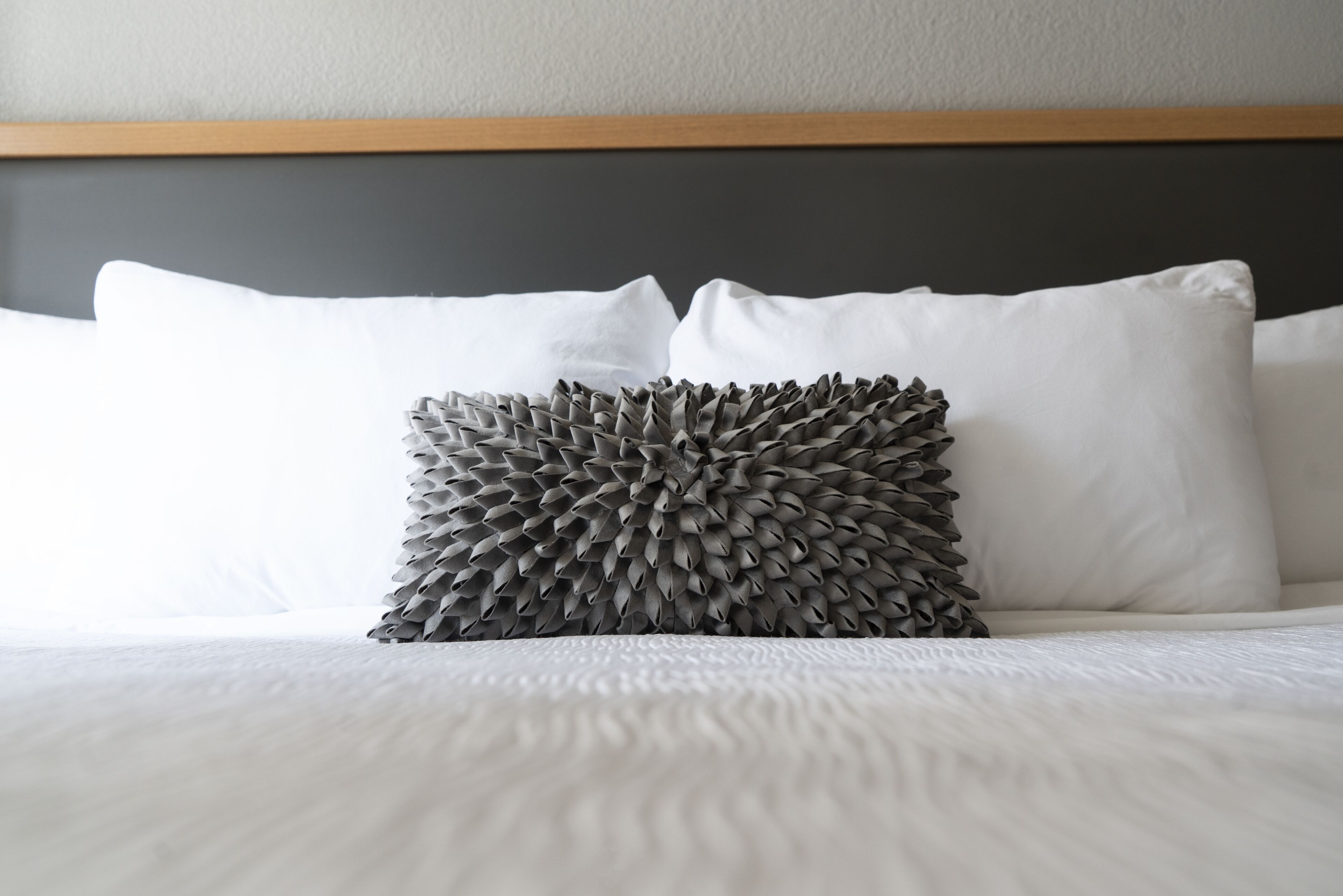 Foto - Hotel Saint Clair - Magnificent Mile