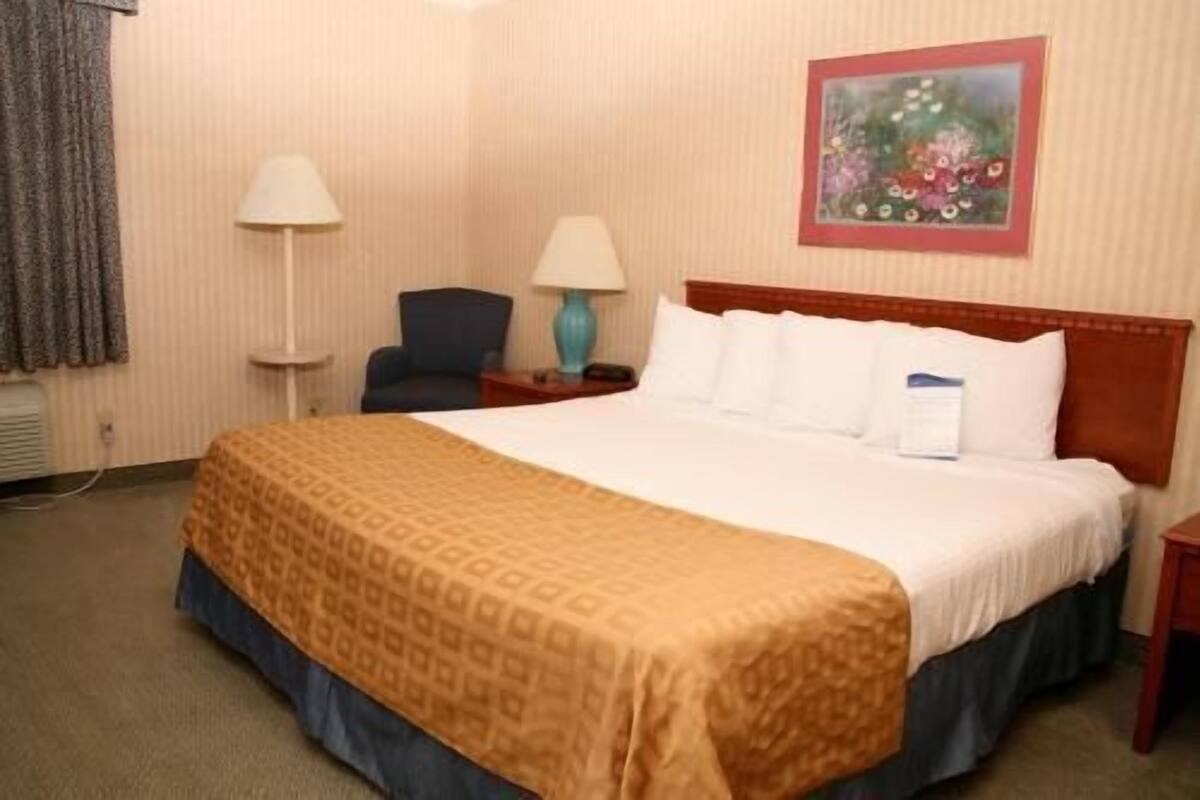 Premium bedding, desk, blackout curtains, iron/ironing board