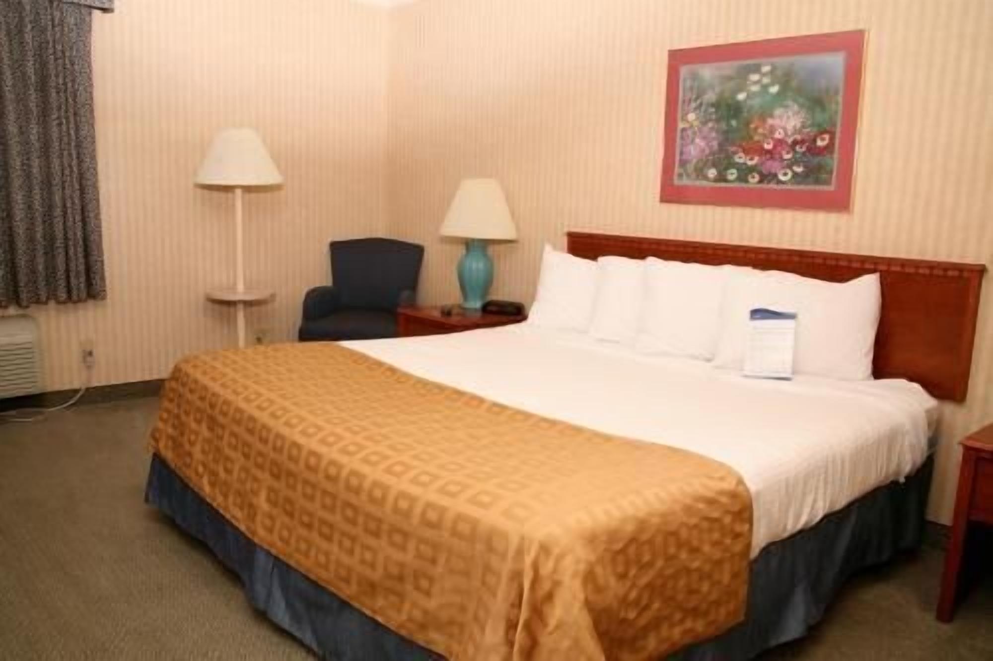 Premium bedding, desk, blackout curtains, iron/ironing board