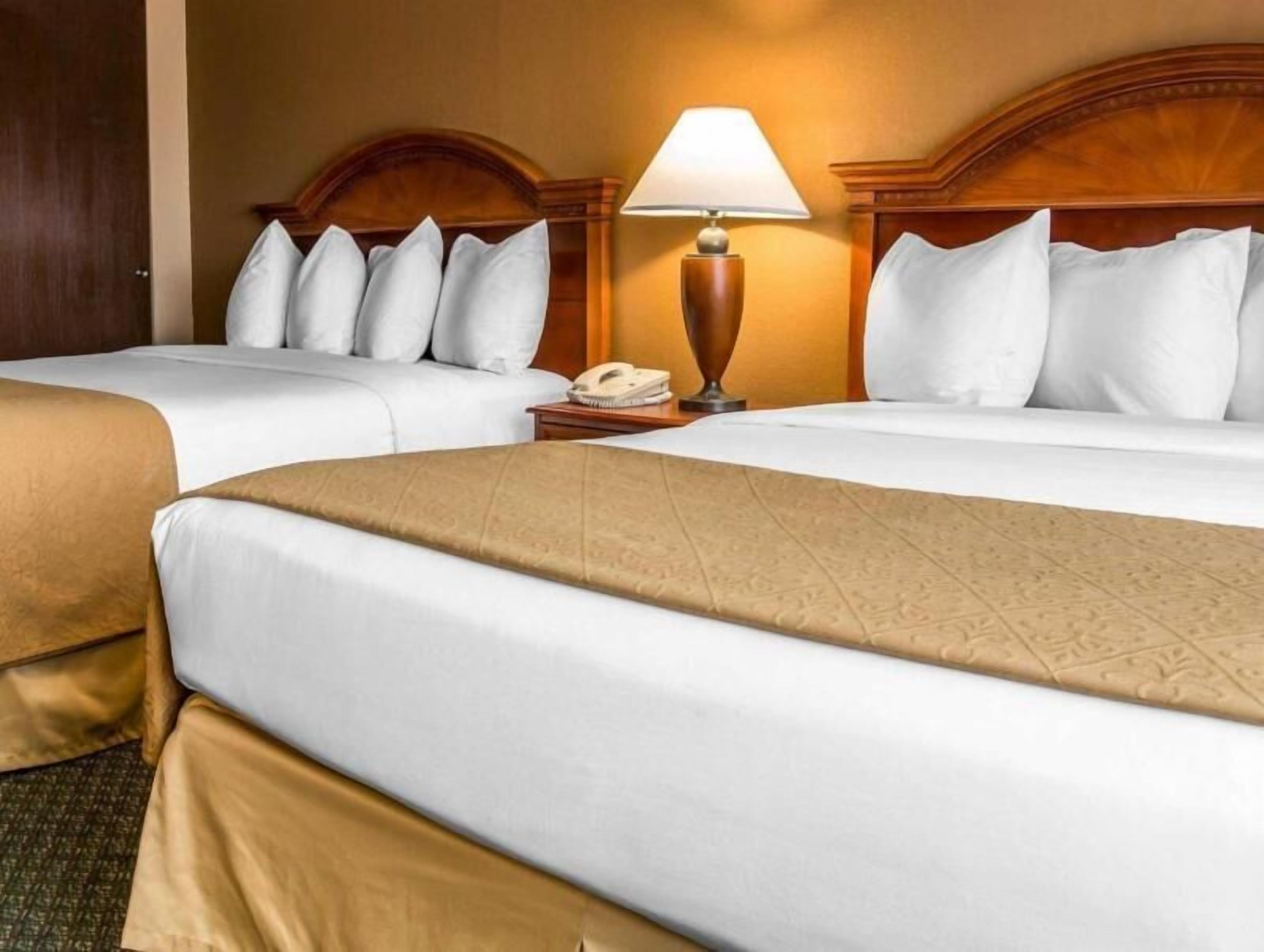 Premium bedding, minibar, desk, blackout curtains