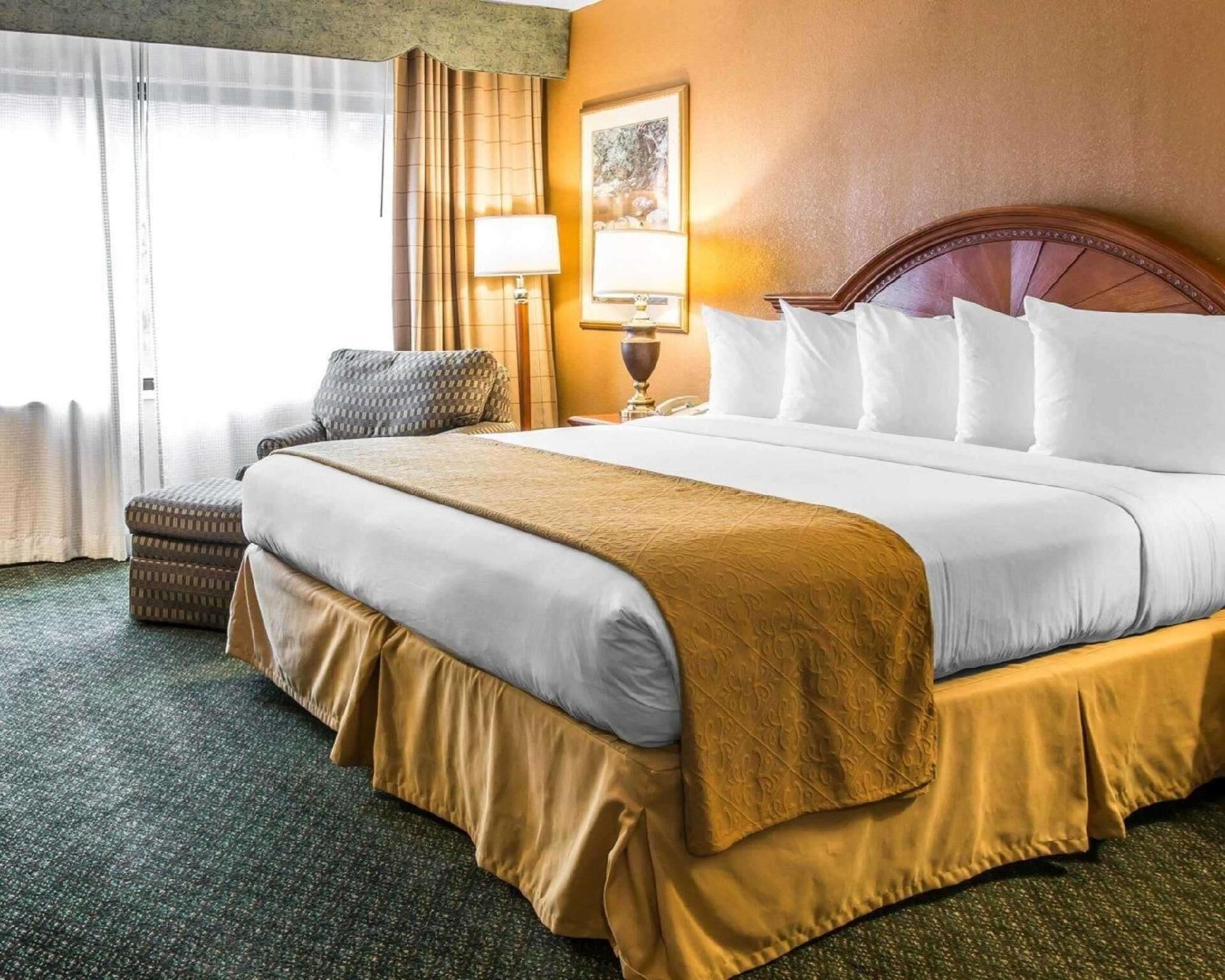 Premium bedding, minibar, desk, blackout curtains