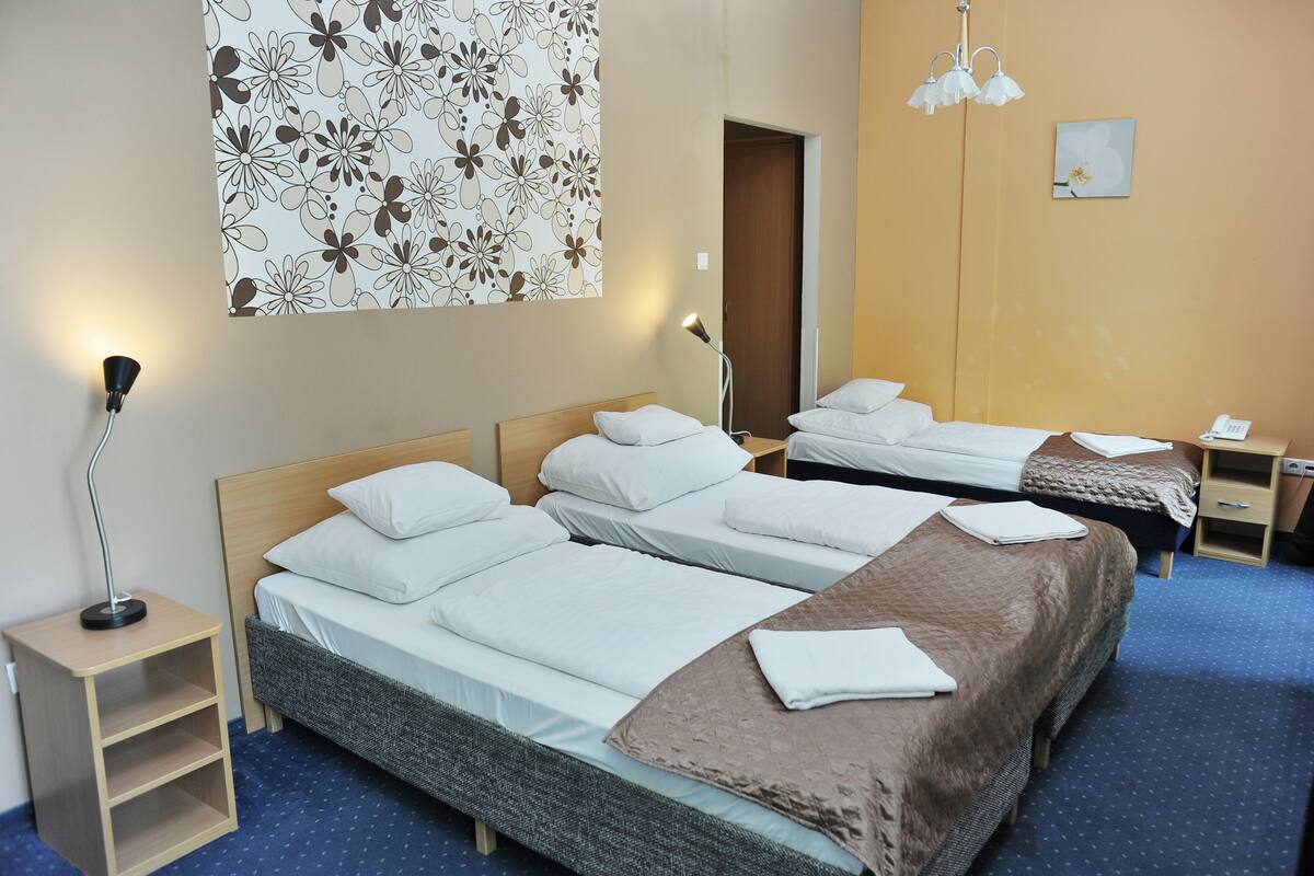 Triple Room | Hypo-allergenic bedding, pillowtop beds, minibar, in-room safe