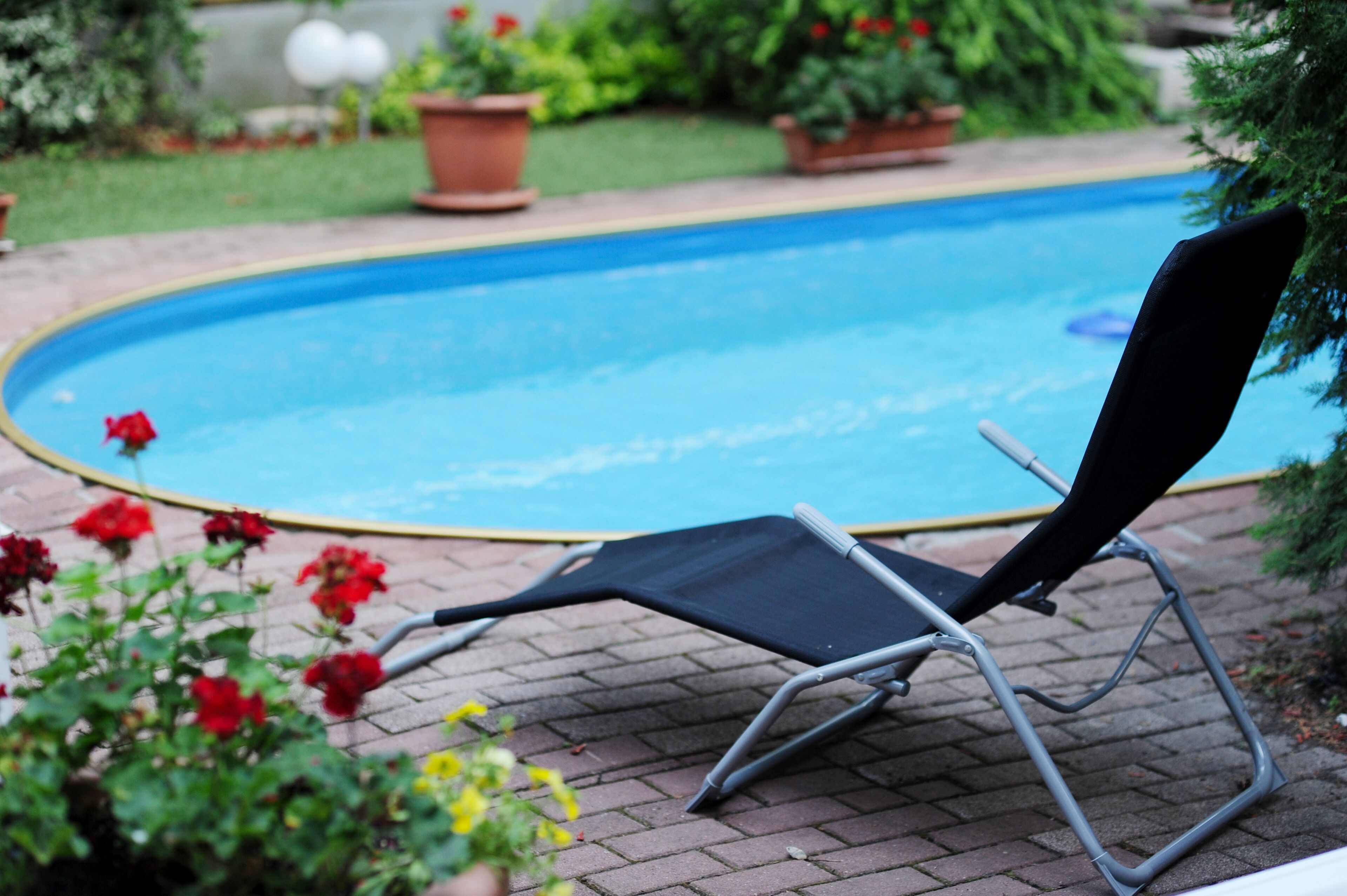 Foto - Hotel Papillon