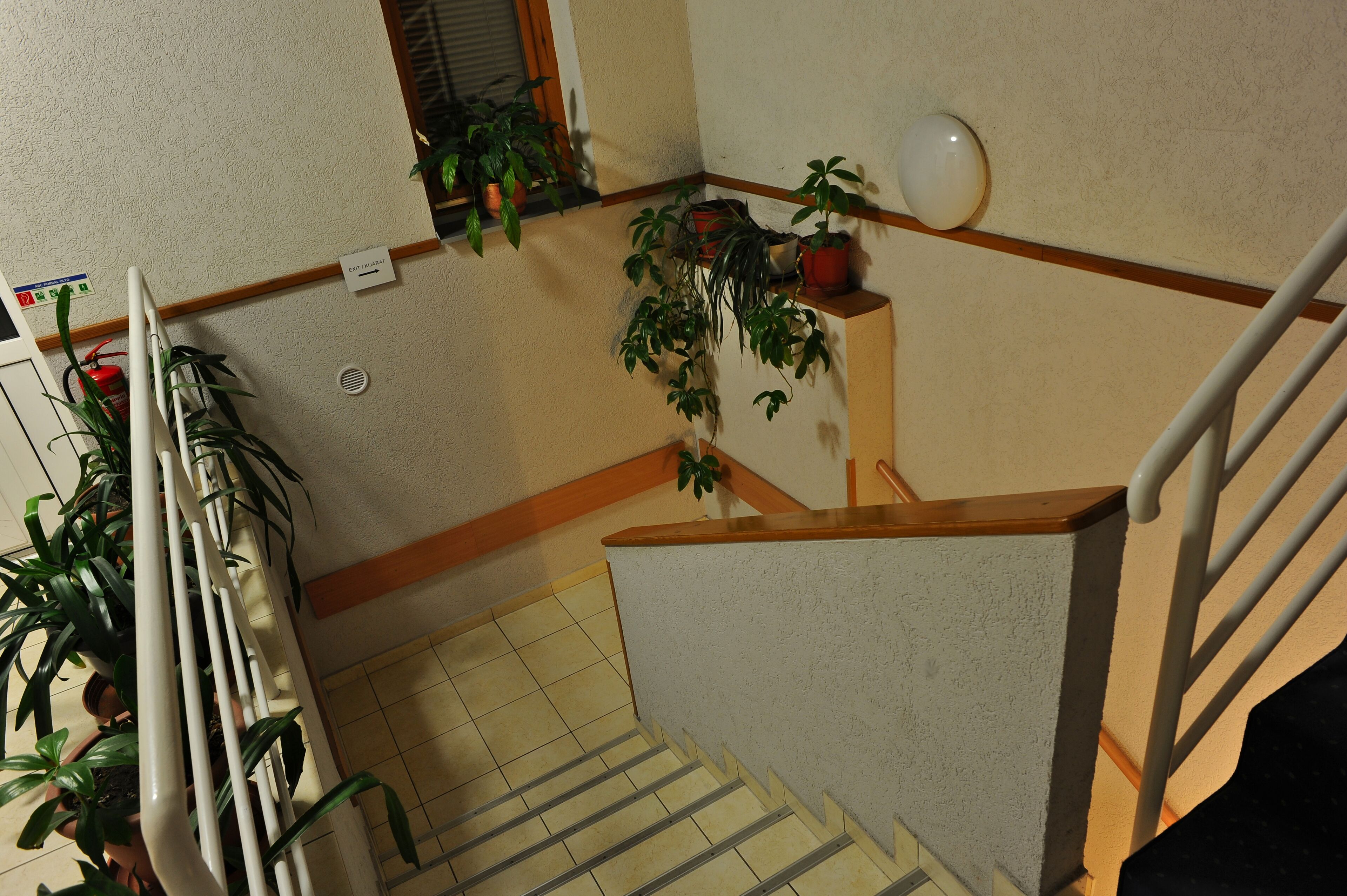 Foto - Hotel Papillon
