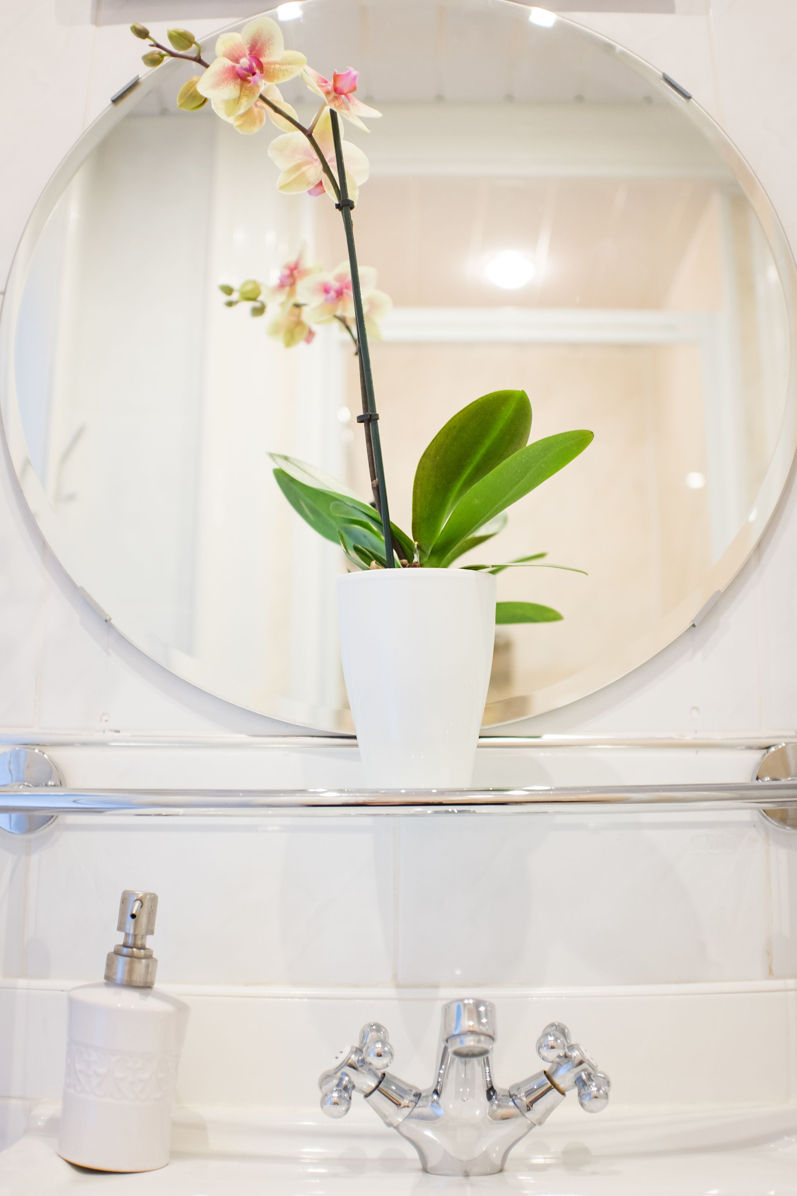 Photo - Allison House 17