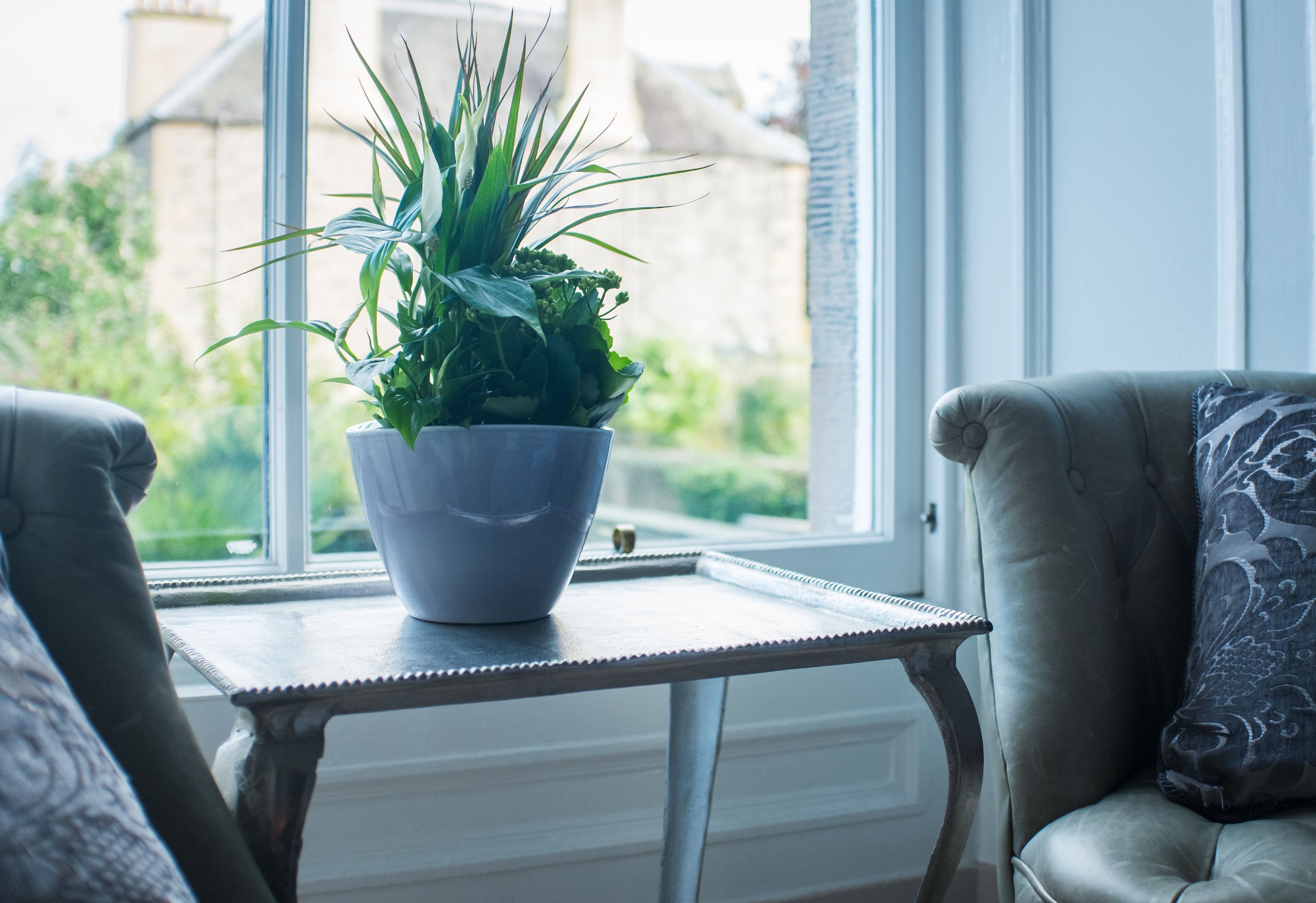 Photo - Allison House 17