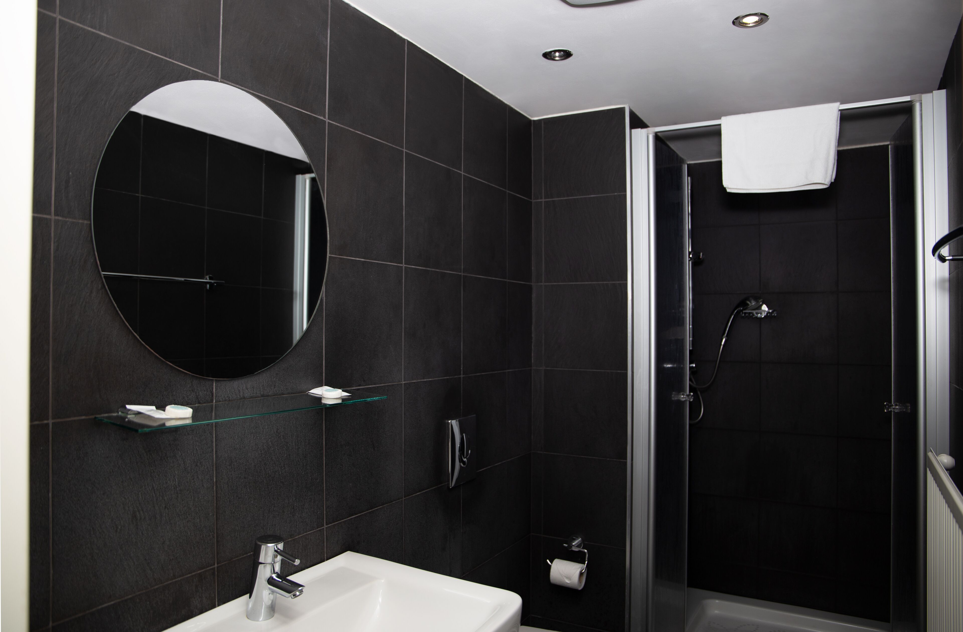 combined shower/bathtub, free toiletries, hair dryer, towels