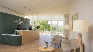 Zona de recepción de un hotel con un mostrador de madera, una pared verde con el nombre del hotel, un ventanal con vistas al exterior y un área de descanso con sofá y sillones.