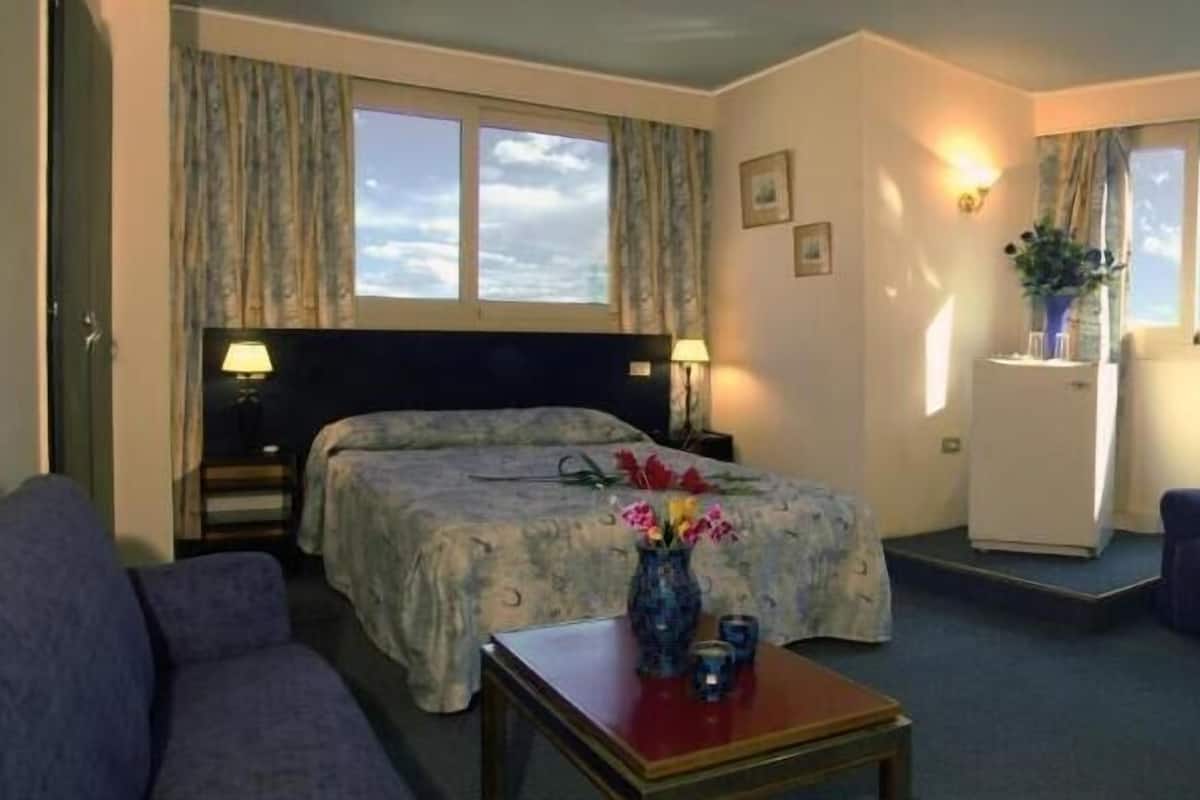 Habitación de hotel con cama, dos sillas, una mesita y un escritorio. Se ven ventanas con cortinas y una planta sobre un atril.
