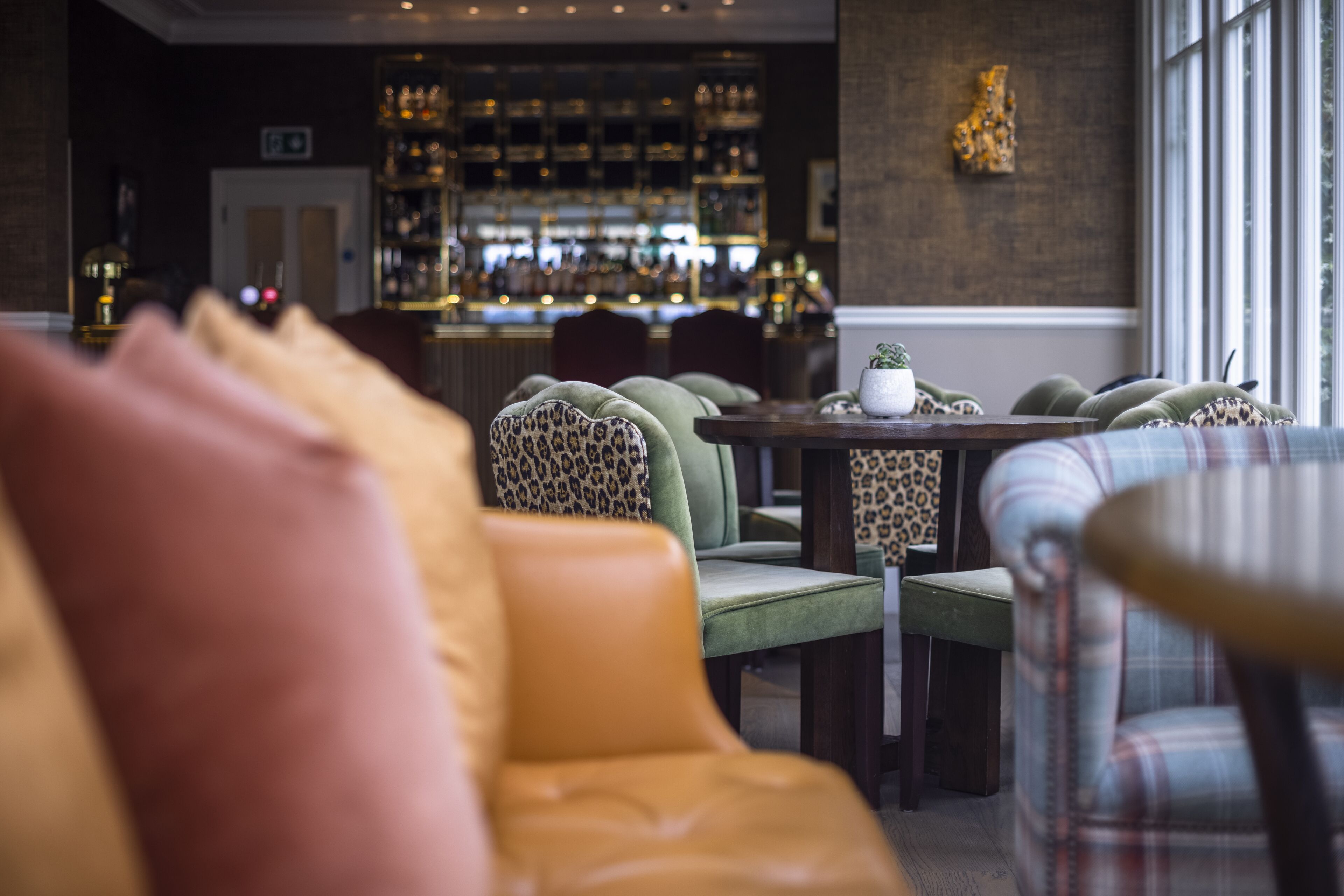 A bar area with leather sofas and a small table with a potted plant.