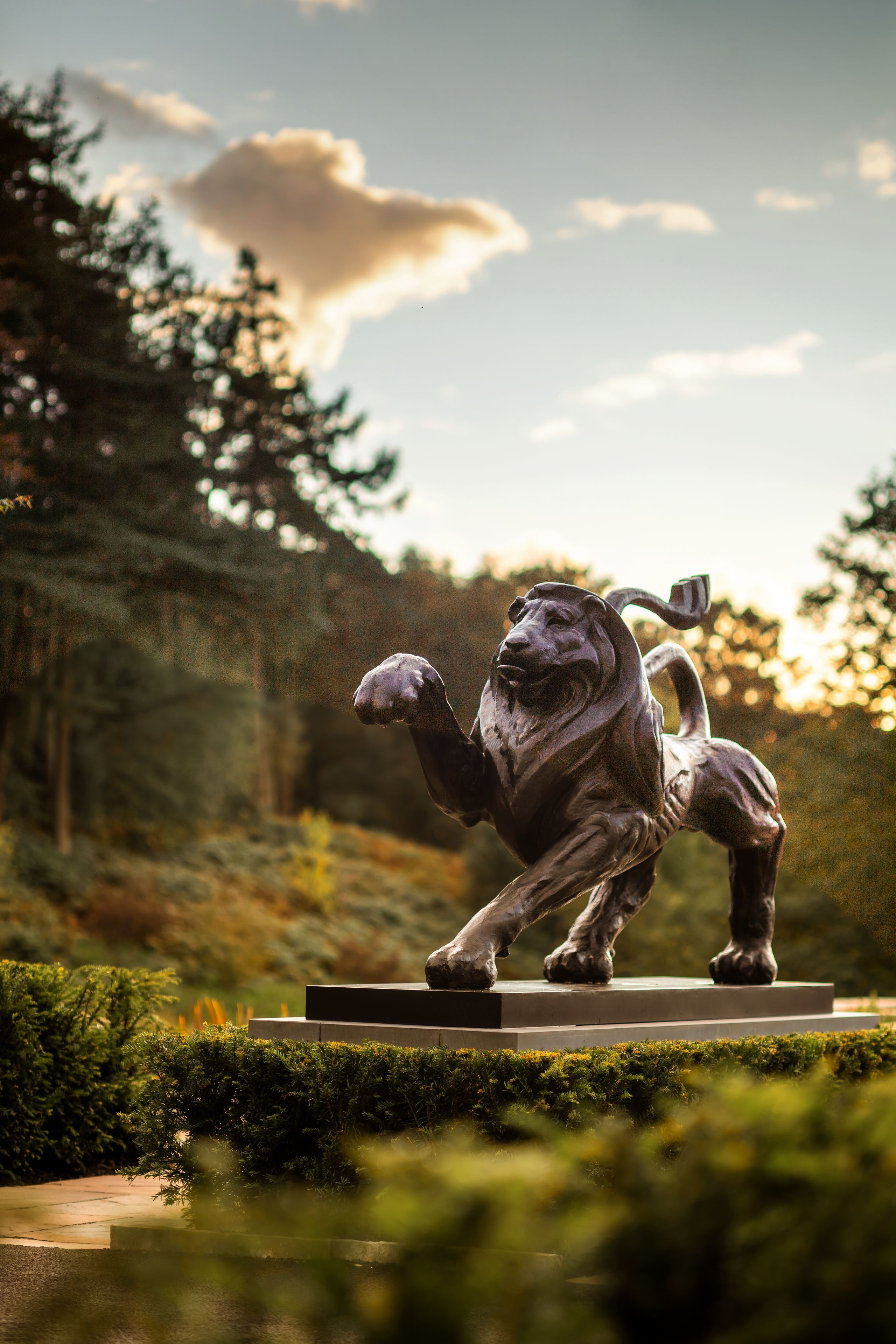 Foto - Linthwaite House Hotel