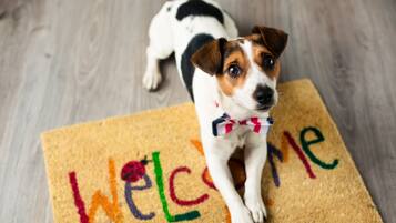 Un perro de pie sobre un felpudo con letras de colores que dicen 'Welcome'.
