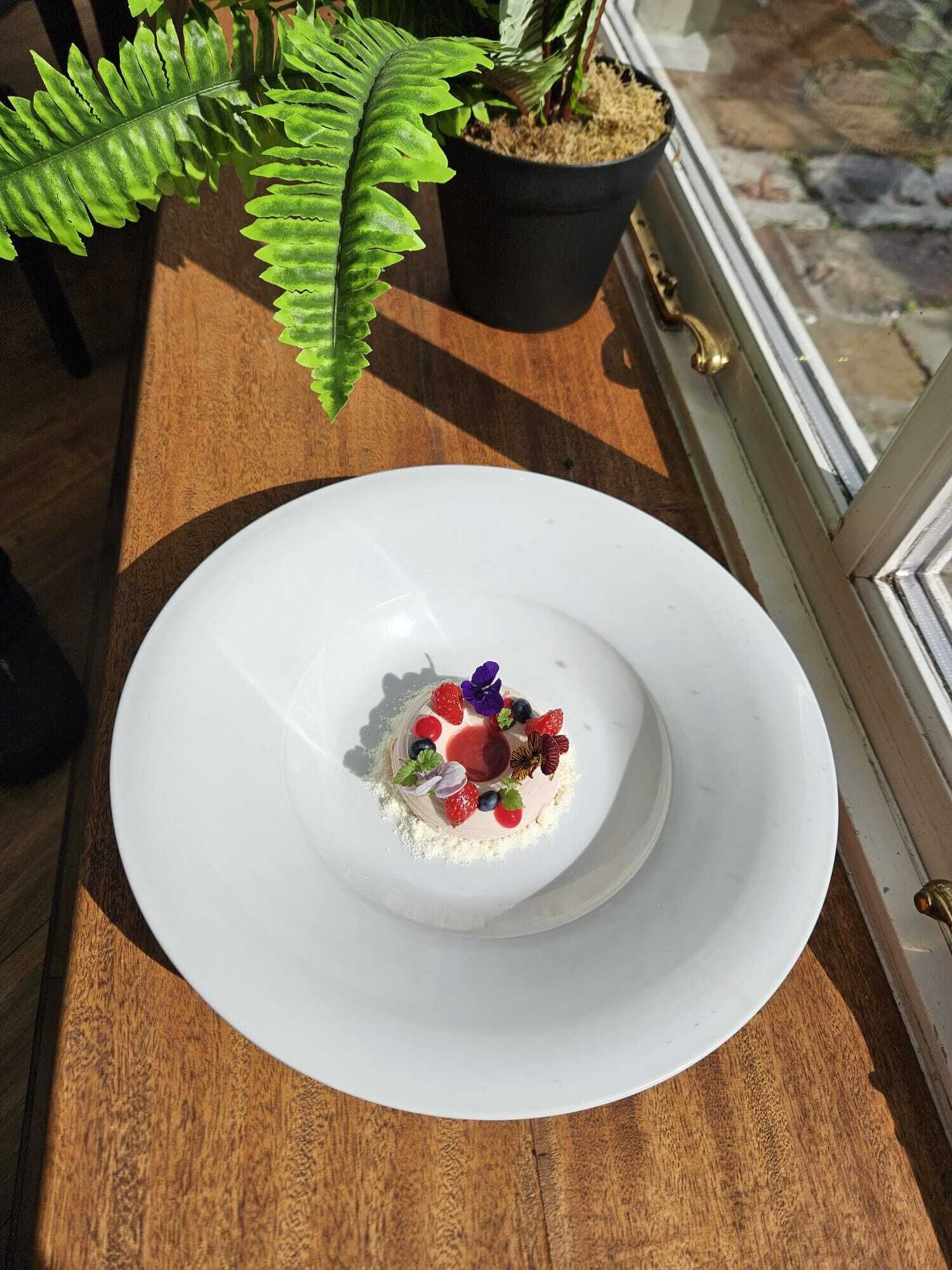 Un plato blanco con un postre sobre una mesa de madera, rodeado por una planta en maceta y una ventana con vista a un muro de piedra.
