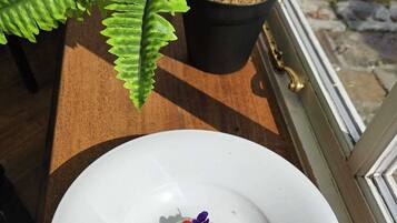 Un plato blanco con un postre sobre una mesa de madera, rodeado por una planta en maceta y una ventana con vista a un muro de piedra.