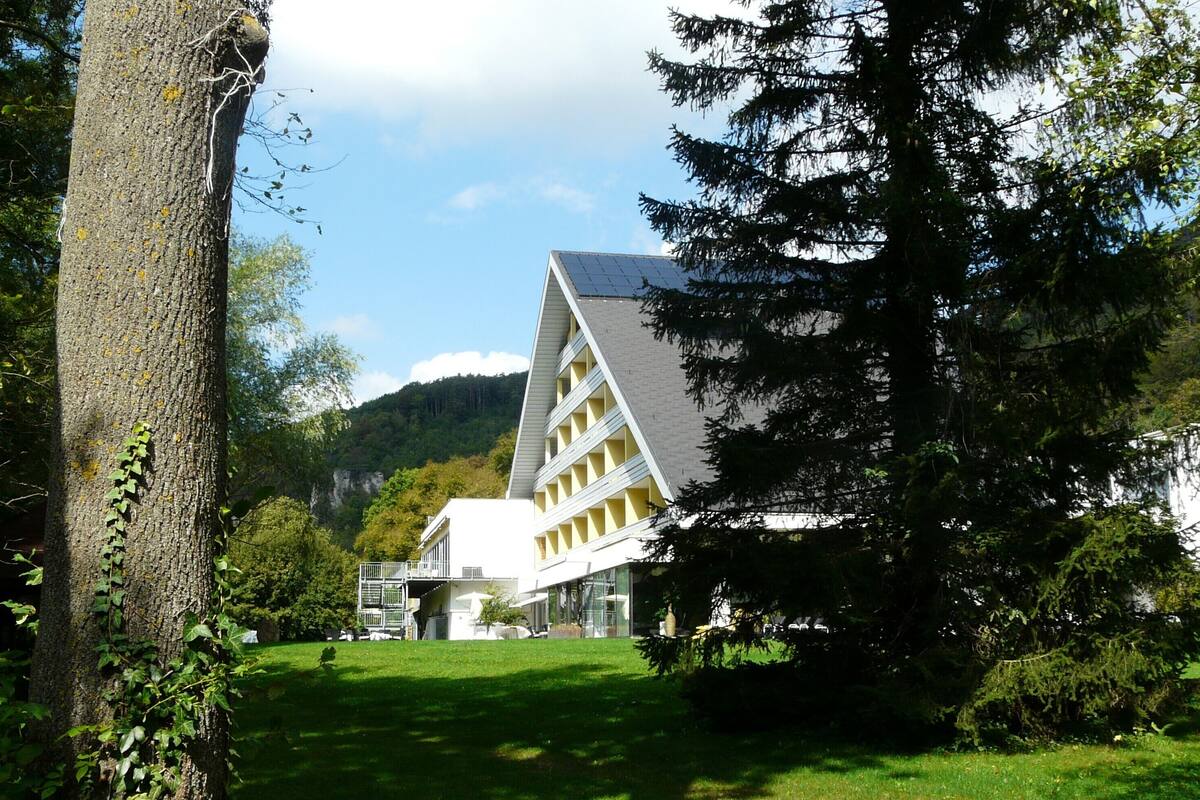 Garden view