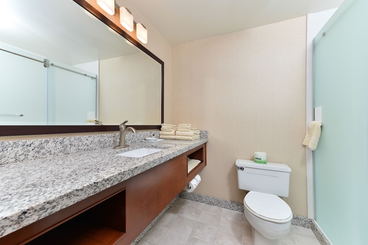 shower, free toiletries, hair dryer, towels