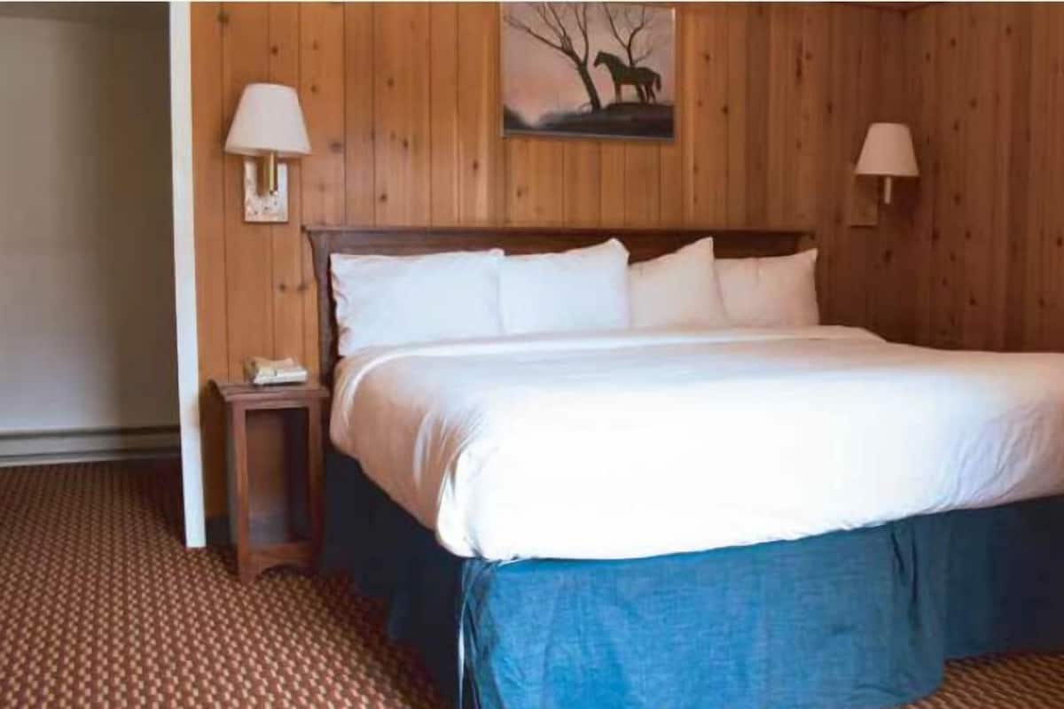 A wooden-paneled room with a large bed, two bedside lamps, and a framed picture on the wall.